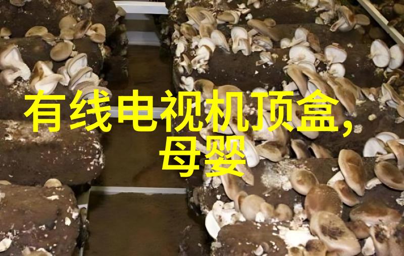 你知道吗最新净水器排名前十名中有没有一款能用250L单级全不锈钢3罐UV呢