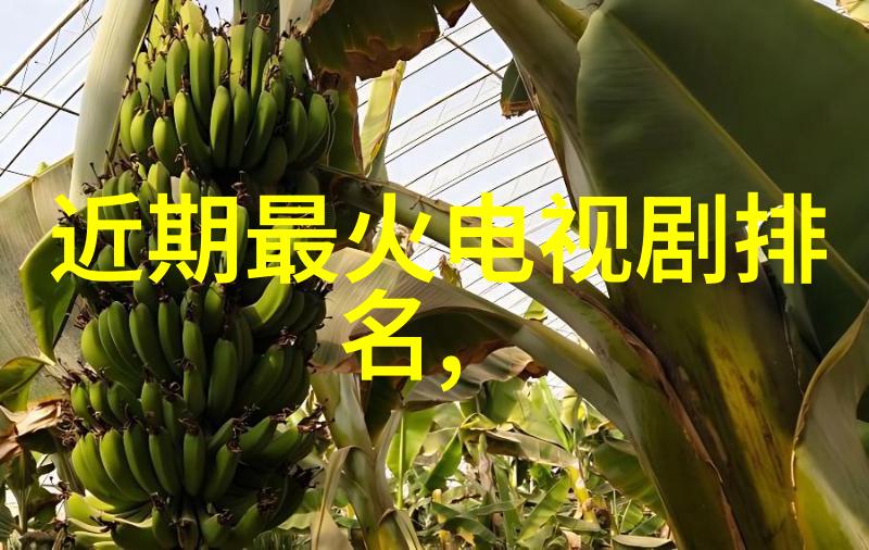 自助家居设计-梦屋随心探索自己设计房子装修App的全新体验