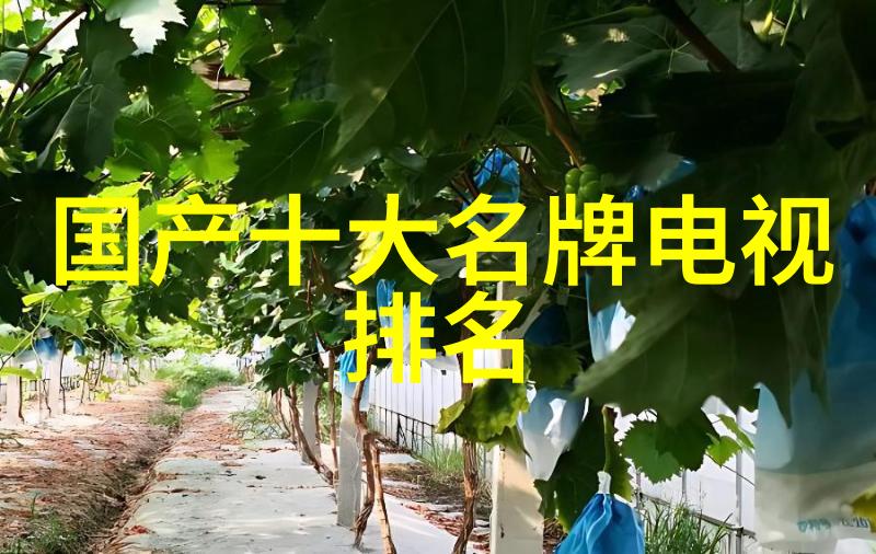 智能交通监控系统-高效管理智能交通监控系统如何优化城市交通流