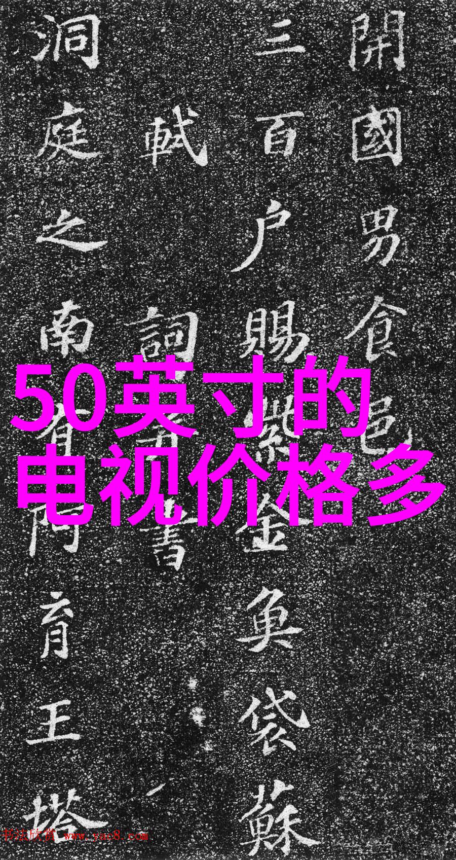 探索字母R的奥秘解读它在中文中的含义与应用