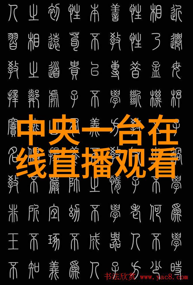 专业技术资格证书有哪些种类-职场升华全面解析专业技术资格证书的多样面貌