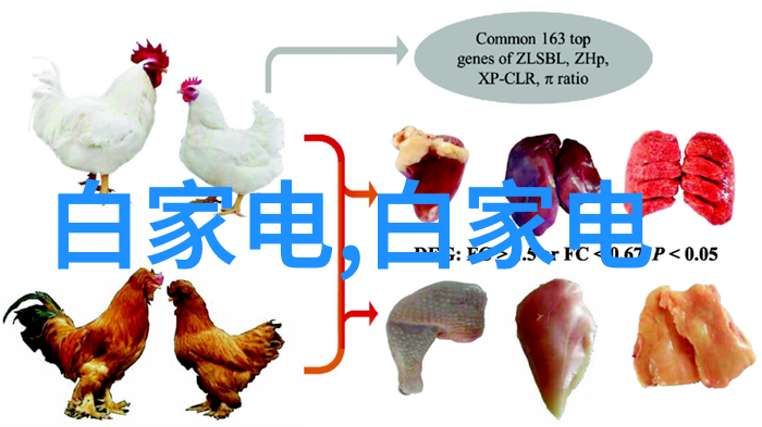 铁艺护栏价格详解定制铁艺护栏成本计算方法