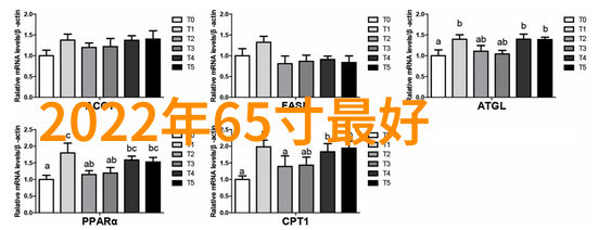 校园内设有哪些特色活动和文化传统