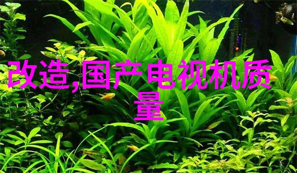 工程清包大师揭秘全方位成本预算