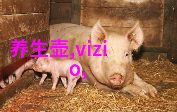 cy700填料参数高性能材料的选择与应用