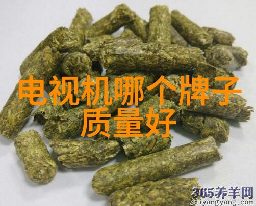 美菱冰箱24小时服务电话-随时解锁完美保鲜美菱冰箱全天候技术支持