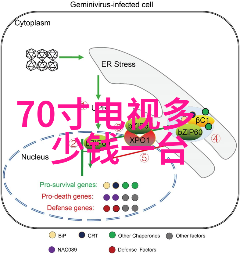 新款电视机我的高清大屏幕好伙伴