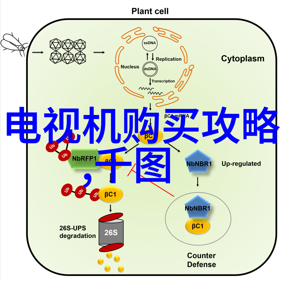 全方位一体化机柜解决方案集成效率与可定制性