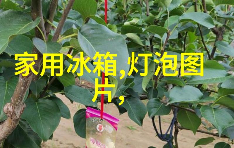 如何制作出既实用又美观的装修设计方案效果图