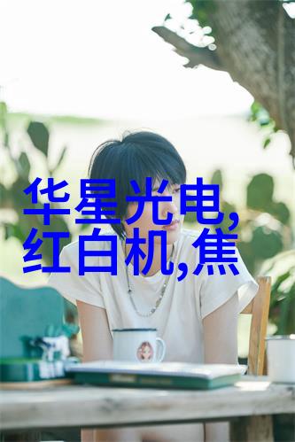 装修房子的风格设计图-创意无限如何通过风格设计图完美装修你的家