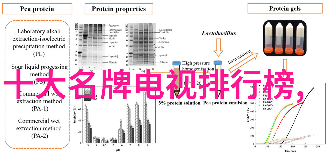 吃饭时坐他的巨大他那夸张的肚子在餐桌上占据了主场