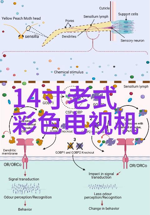 法兰弯头管件生产厂家助力南京洁净管道安装