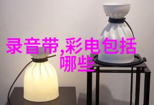 燃气蒸汽发生器之父揭秘1吨级设备的设计理念