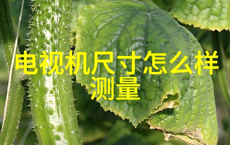 人文艺术课拍37绘卷里的哲思与色彩的对话