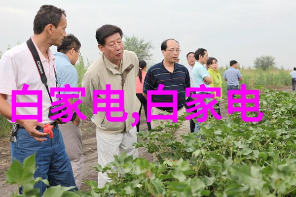 铝单板的魅力轻质耐用与环保的理想材料选择