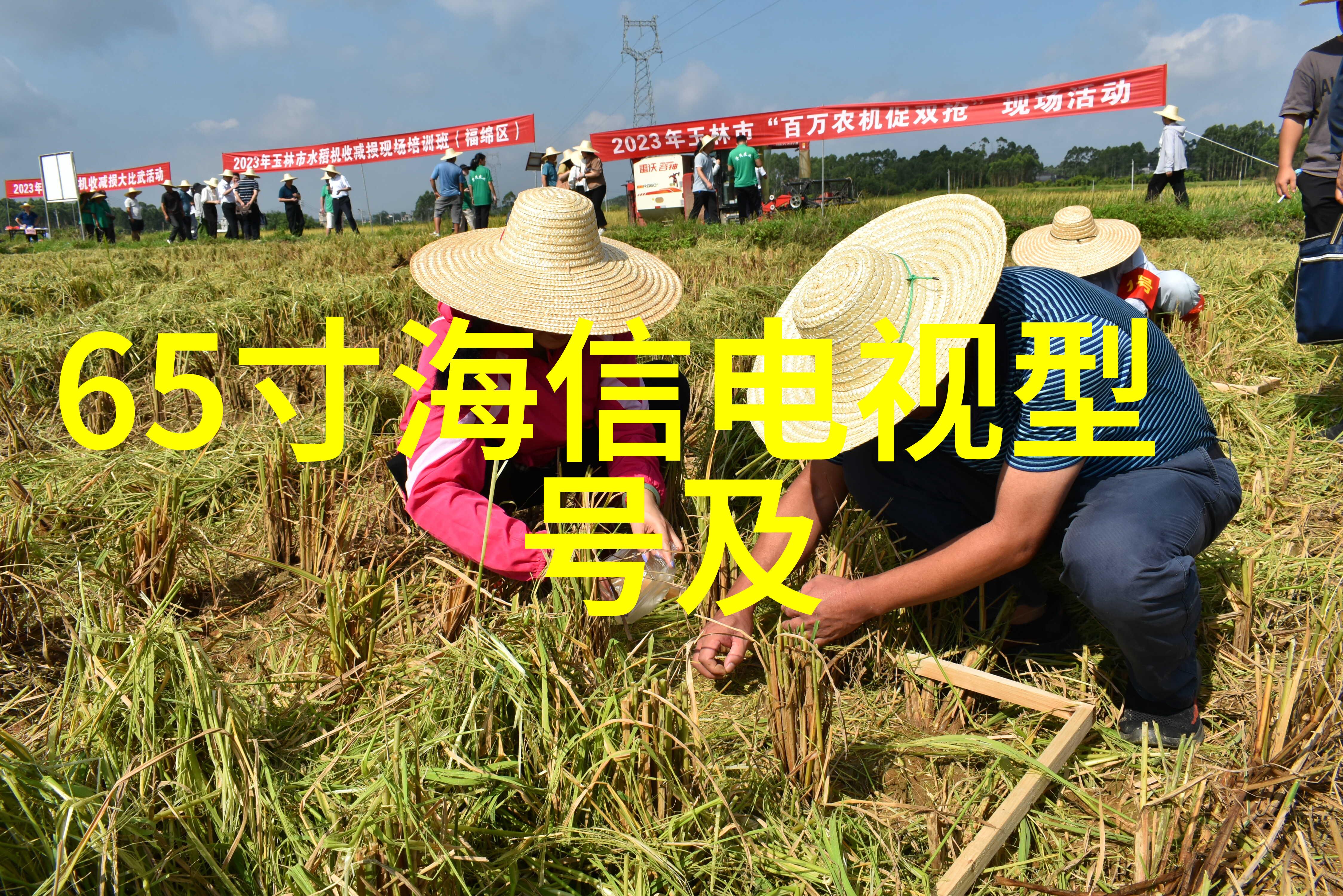 永诺精神启示录如何在现代生活中应用古人的智慧