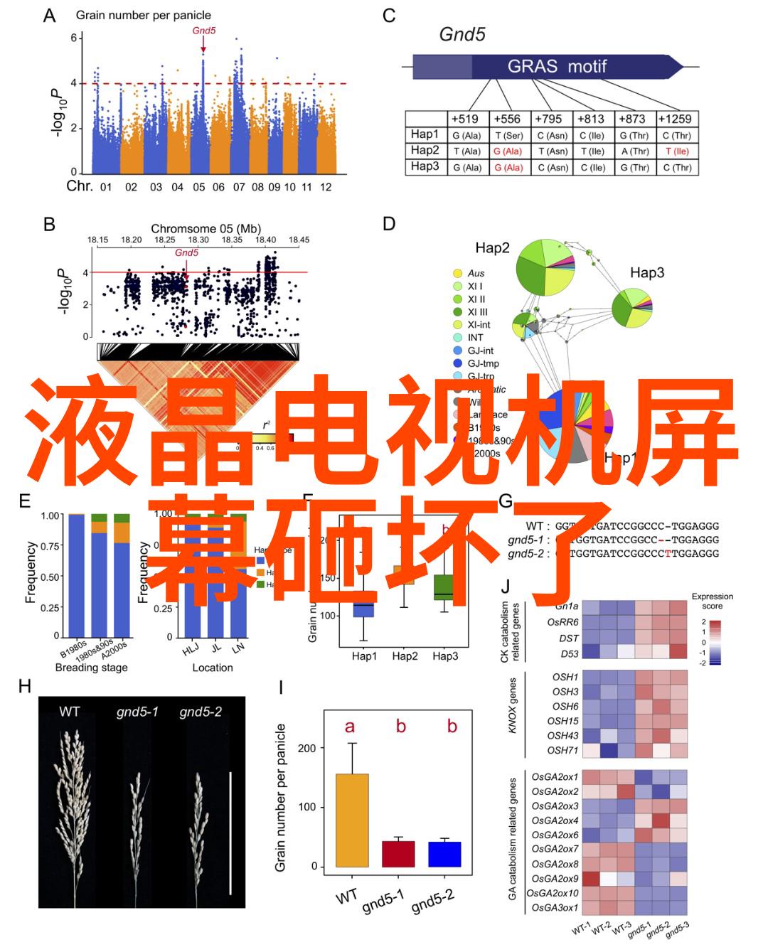 巧思点缀小厨房空间创意装修效果图解析