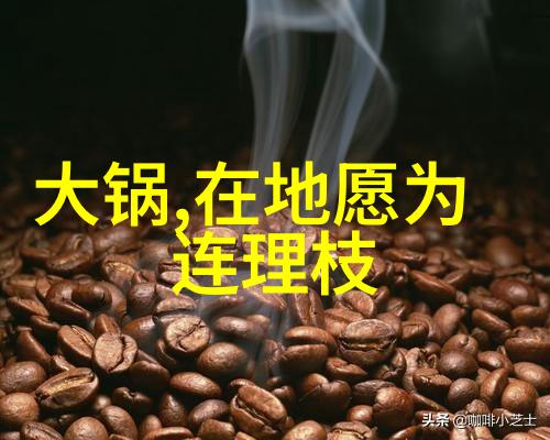 综艺节目盛行为何这些真人秀成为了人们心中的安慰剂