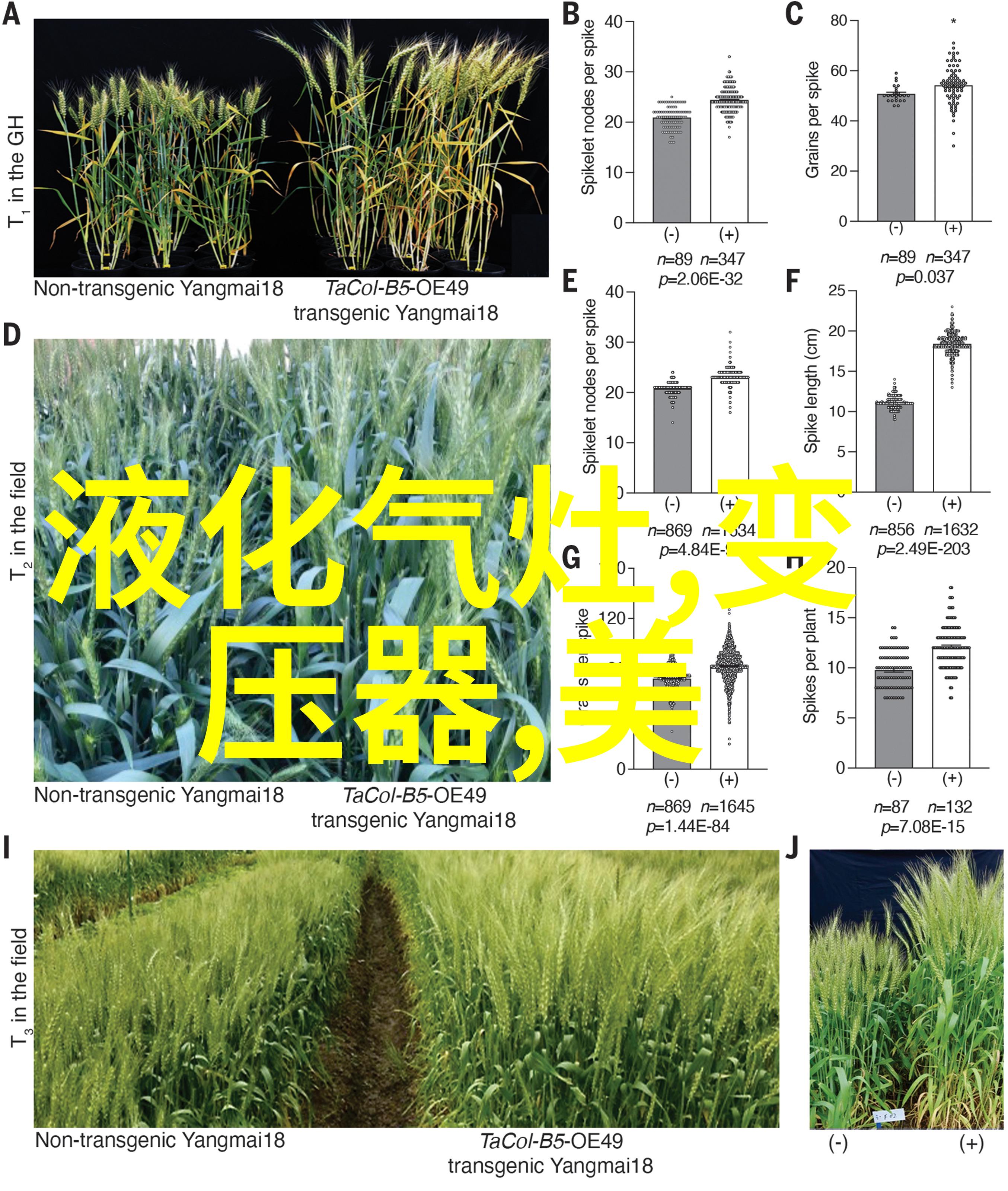 高温蒸汽供应对化工提取浓缩设备性能至关重要吗