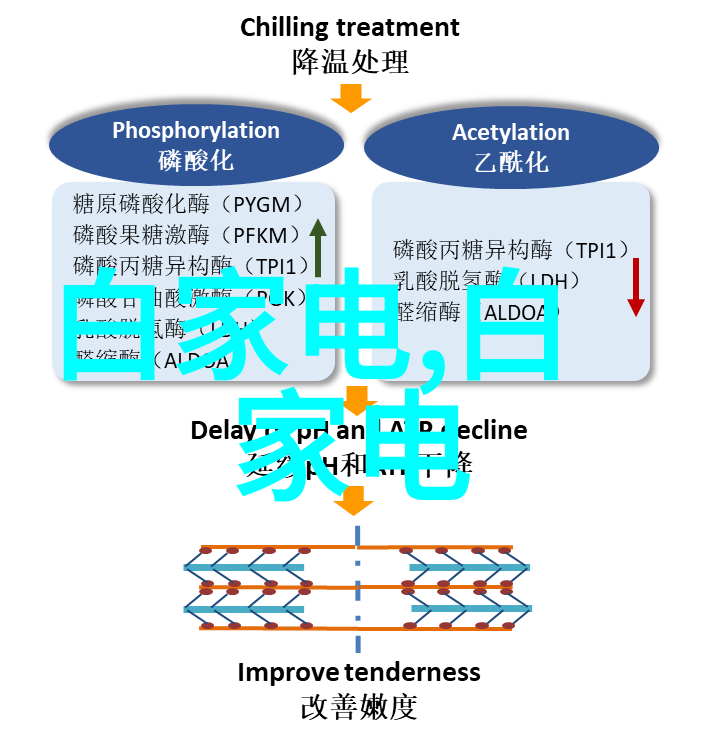 欧洲乡村風情