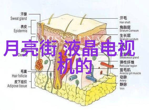 从零到英雄水电安装图纸的新手指南