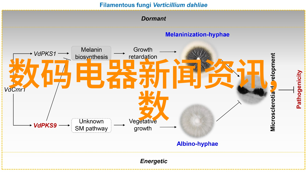 不锈钢生产公司专业制造高品质耐腐蚀金属制品