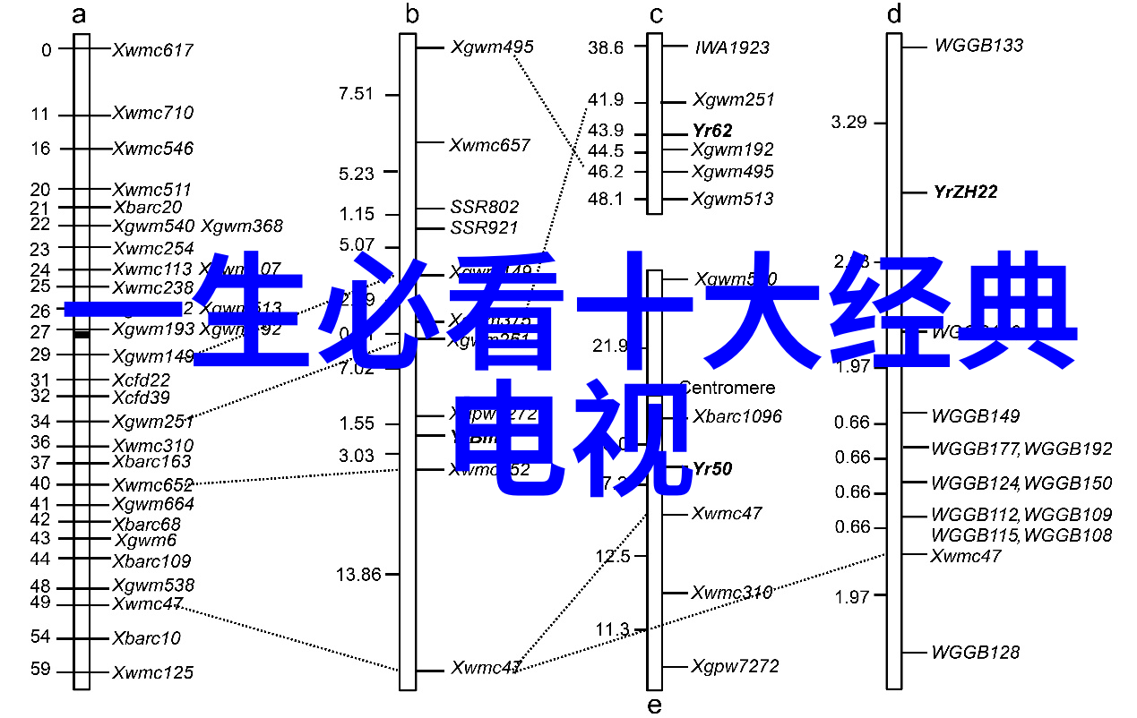 化学反应设备-高效混合与转移动态管式反应器的应用与创新