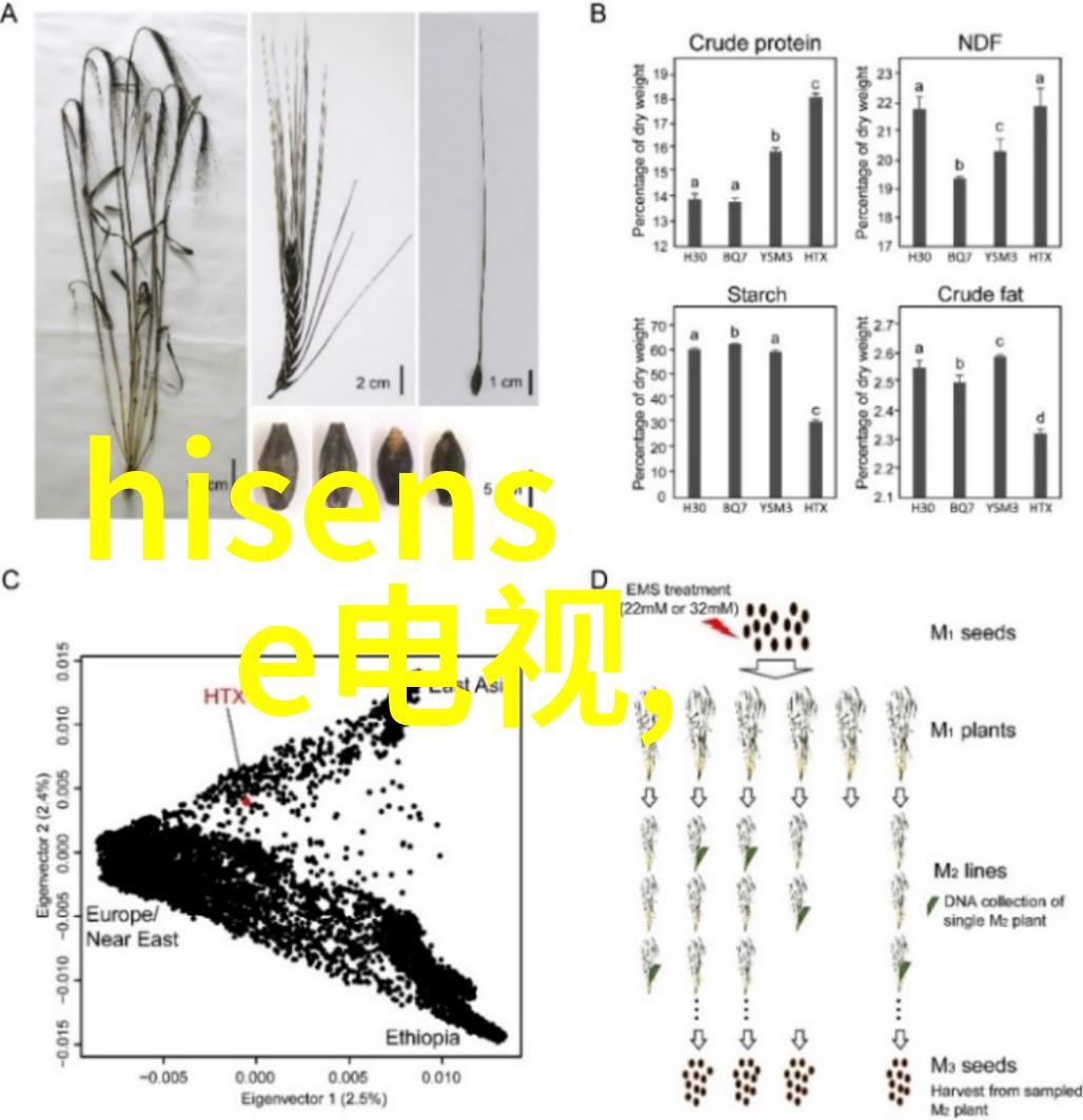 工程造价管理工程项目的预算控制与成本分析