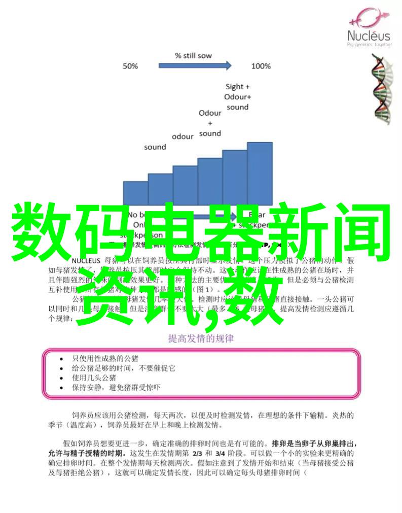 时尚演绎从服饰搭配到场景布置探索时尚元素在两种类型照片中的运用差异