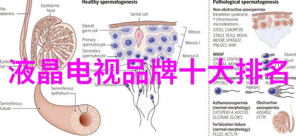 管道人才网最新招聘-锻造未来管道行业最前沿人才需求解析