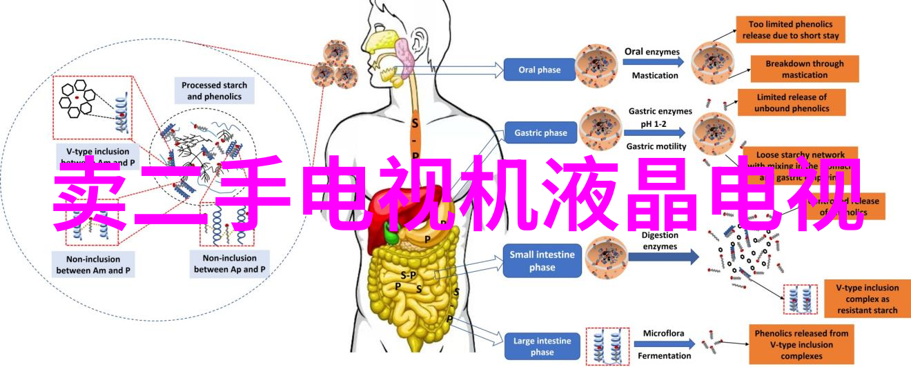 在紧凑空间内安置衣柜与其他设施又要考虑隐私问题这些建议可行吗