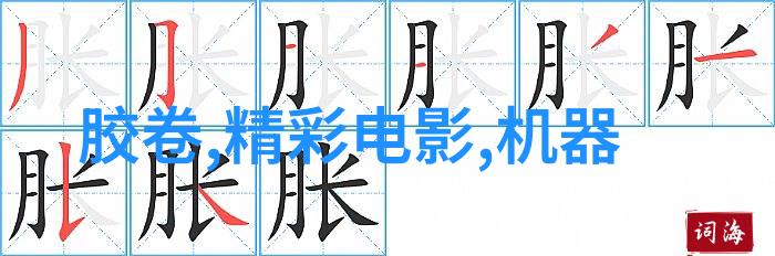 暴能特区我在这片充满未知的土地上找到了属于自己的力量