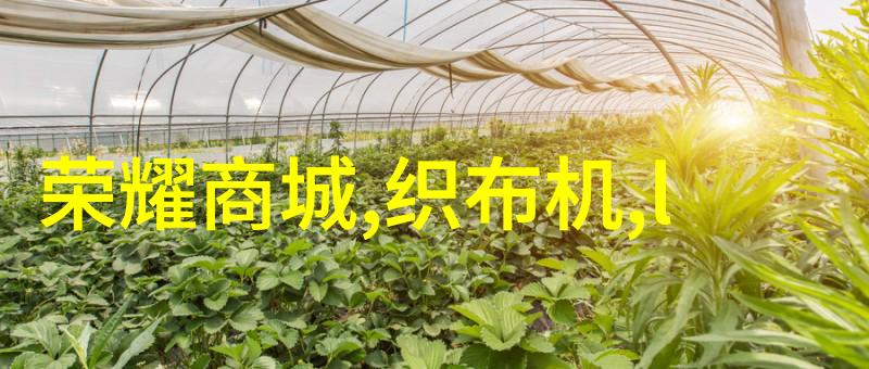 从原料到成品如何通过不同类型的工业干燥设备来优化整个生产流程