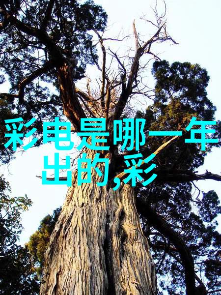 中文字幕亚洲无线码观看亚洲影视剧的便捷方式